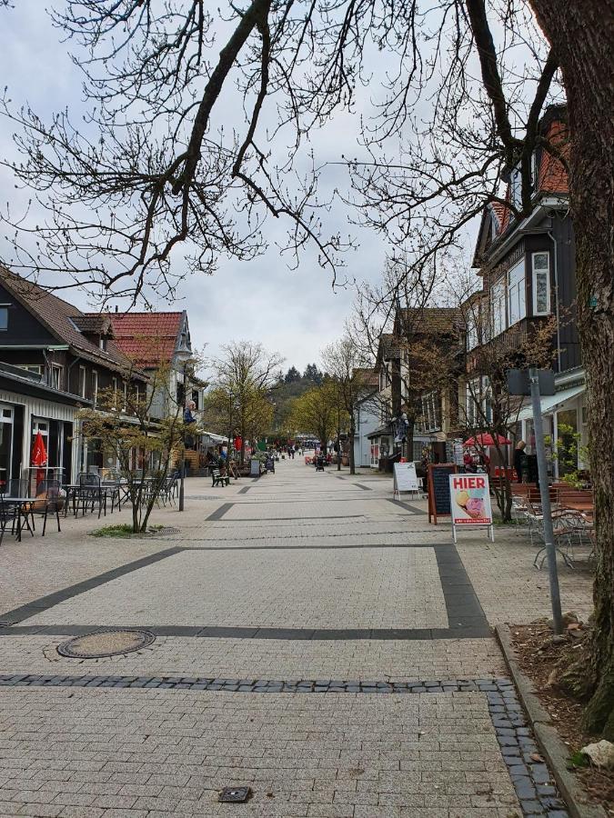 Apartment Am Bocksberg Goslar Bagian luar foto